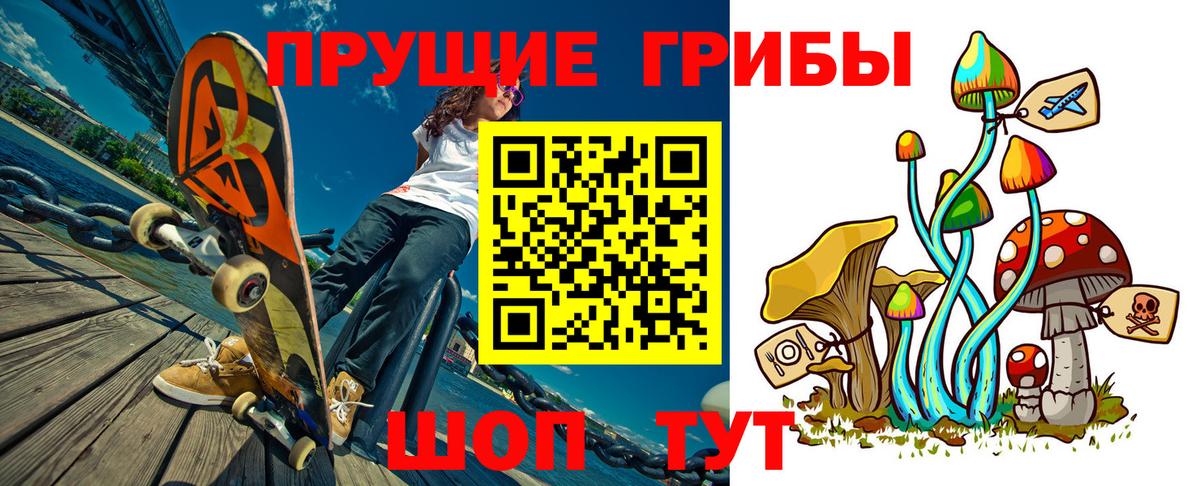 Псилоцибиновые грибы Cubensis Михайловск